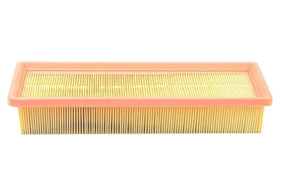 BSG 70-135-006