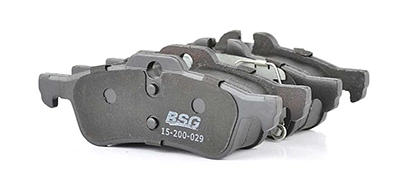 BSG 15-200-029