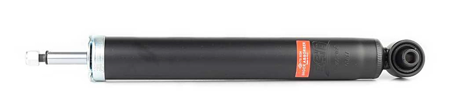 BSG 15-300-029