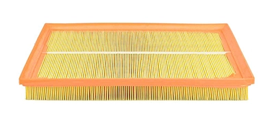 BSG 65-135-002