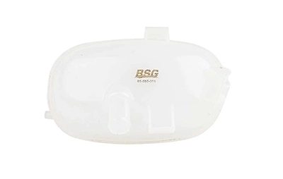BSG 65-550-011