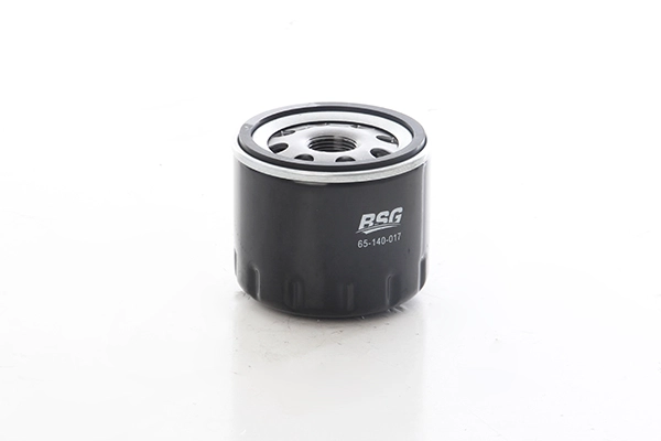BSG 65-140-017