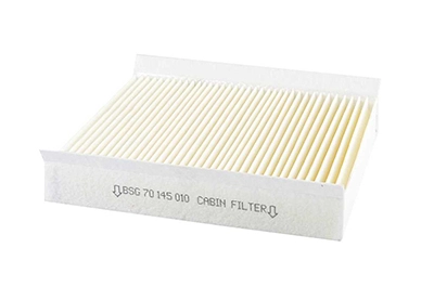 BSG 70-145-010