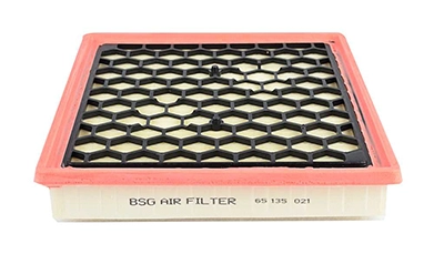 BSG 65-135-021