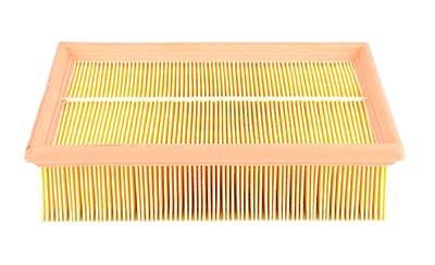 BSG 65-135-009