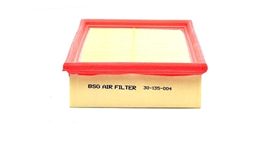 BSG 30-135-004