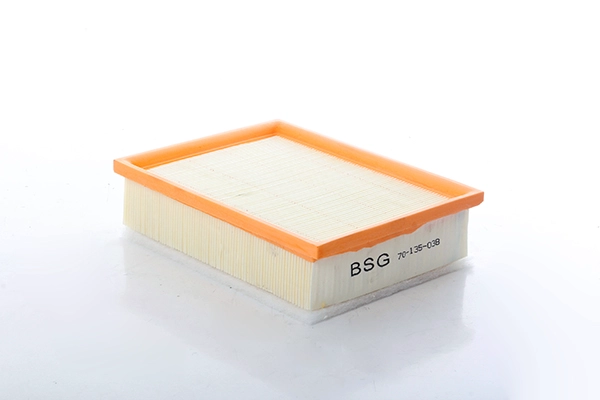 BSG 70-135-038