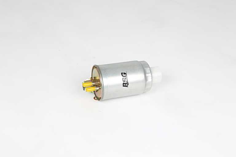BSG 25-130-007