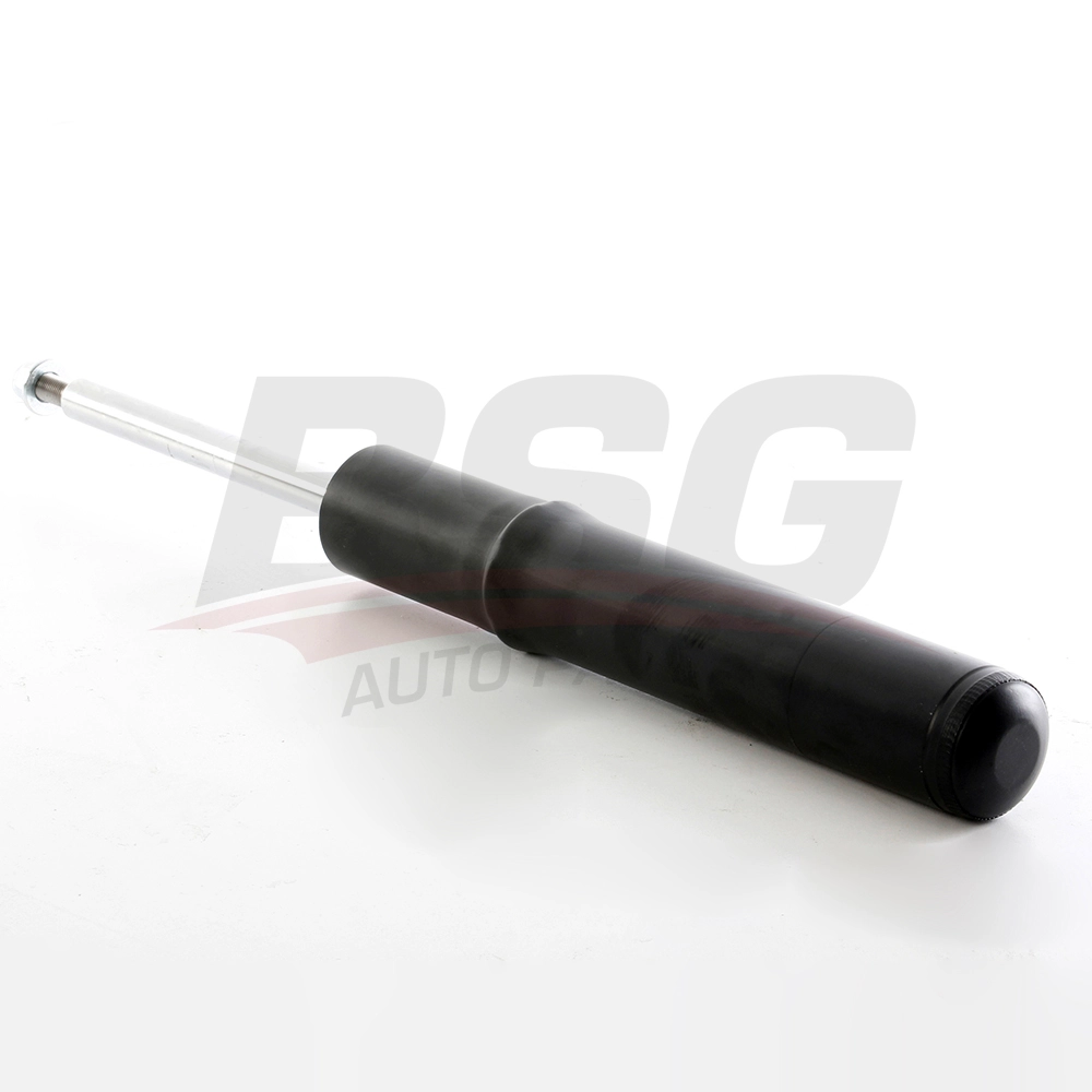 BSG 11-300-002