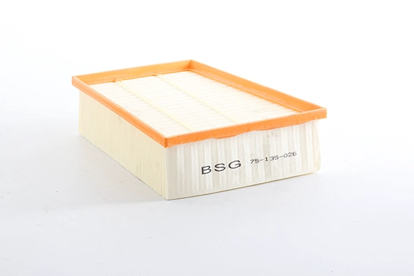 BSG 75-135-026