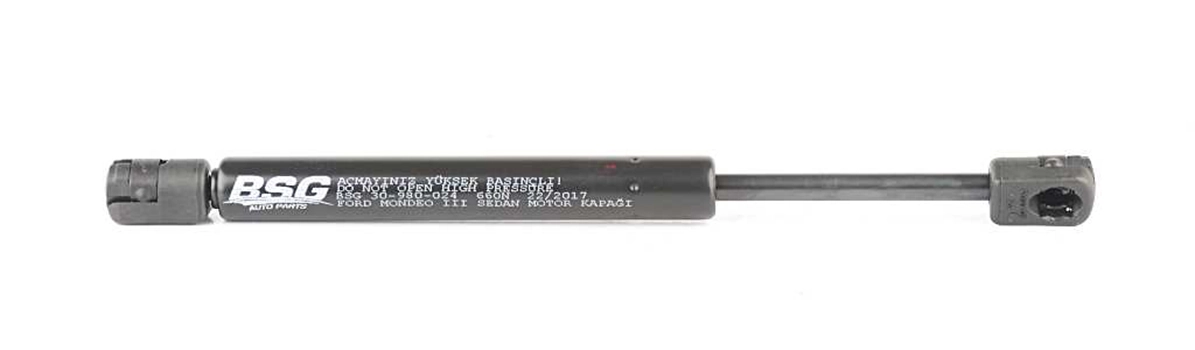 BSG 30-980-024
