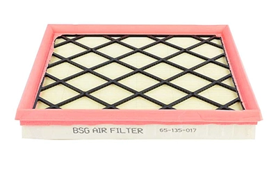BSG 65-135-017