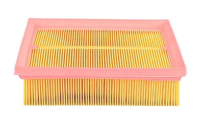 BSG 65-135-006