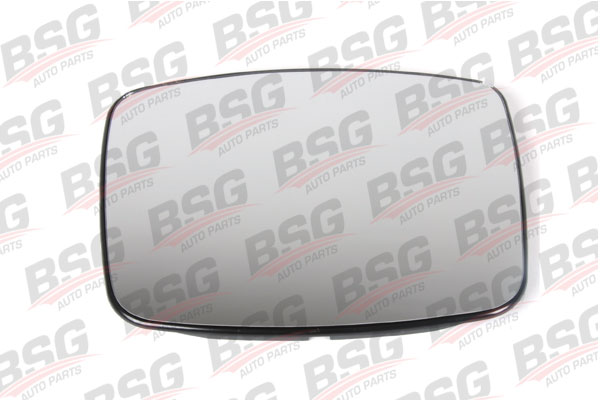BSG 60-910-005