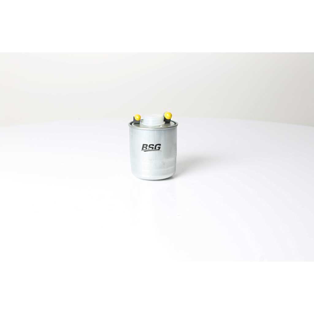 BSG 60-130-011
