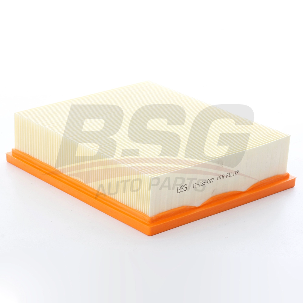 BSG 15-135-027