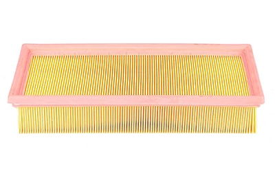BSG 15-135-003