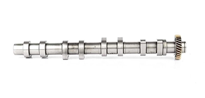 BSG 65-108-004