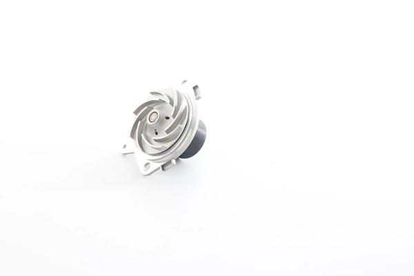 BSG 65-500-018