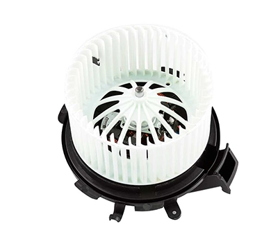 BSG 60-865-006