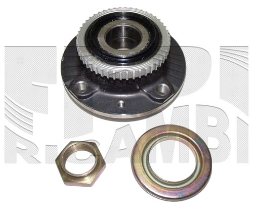 RA3011