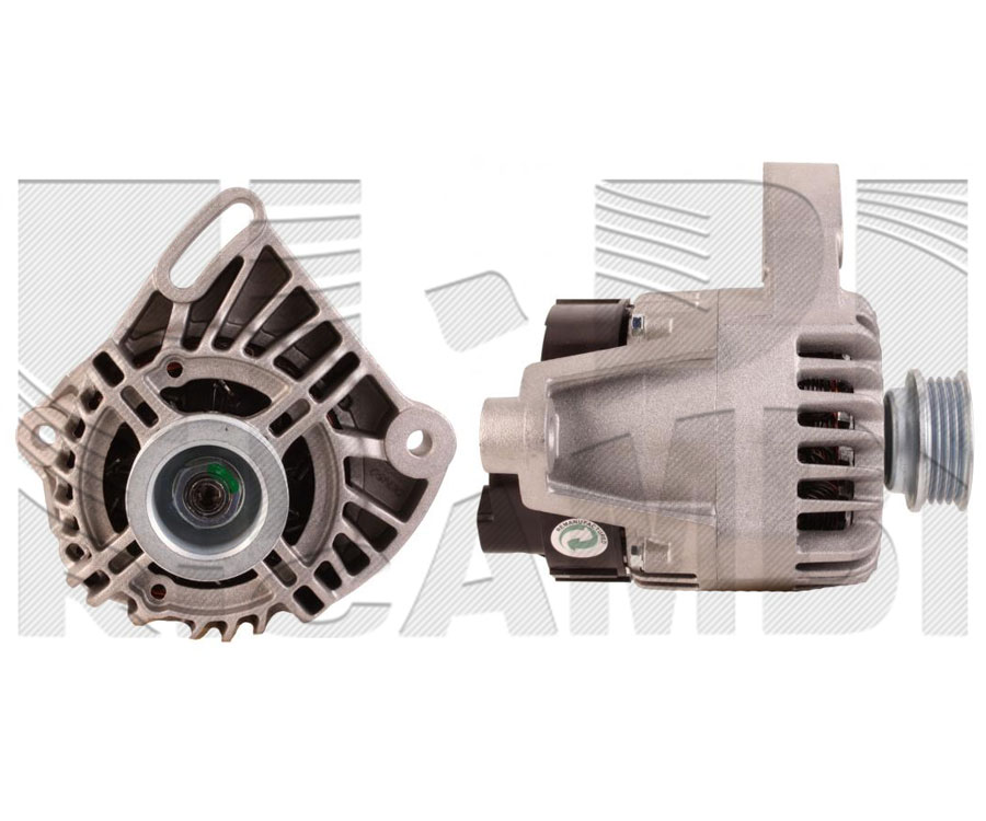 AMM211