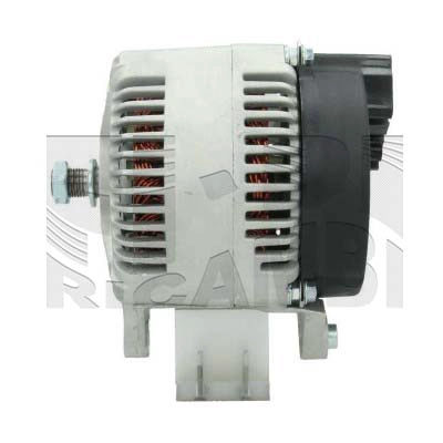 AMM196