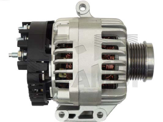 AMM237