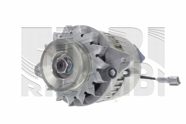 ANK613