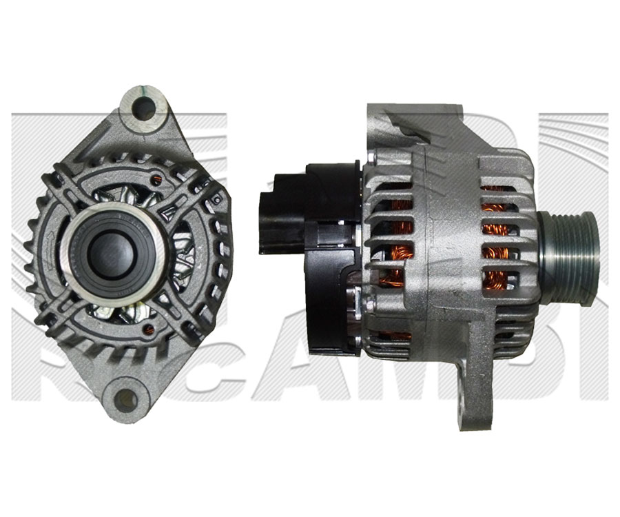 AMM219