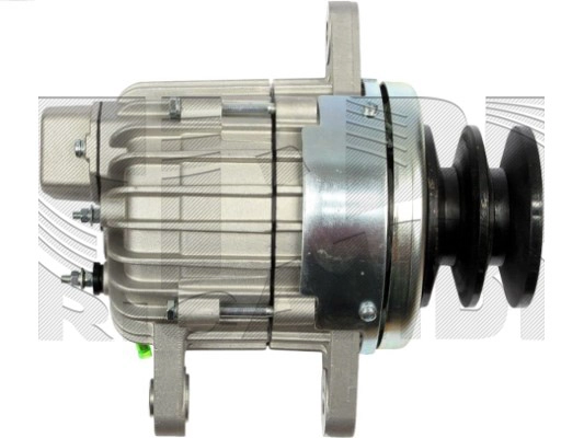 ANK601