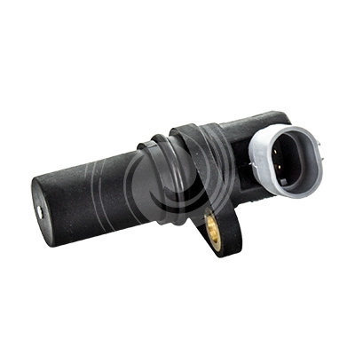 L3164
