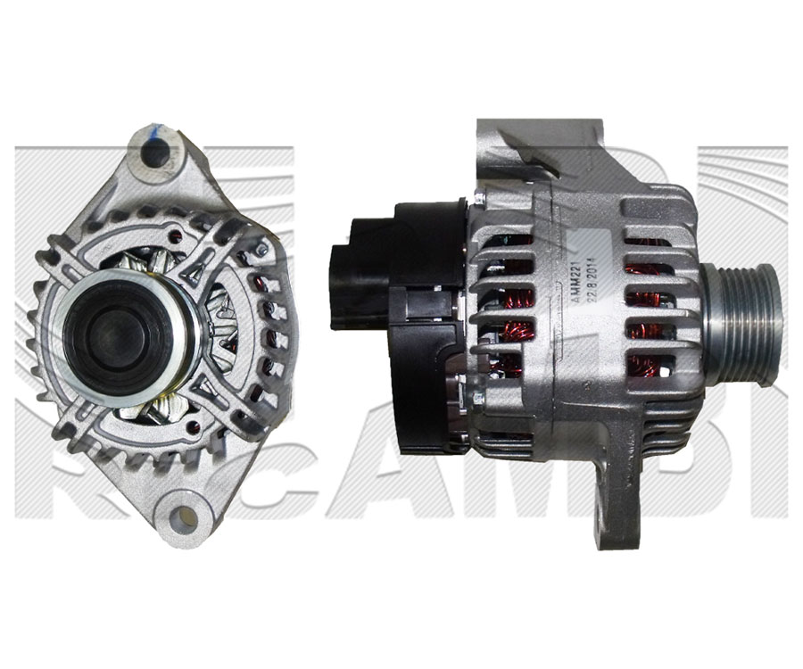 AMM221A
