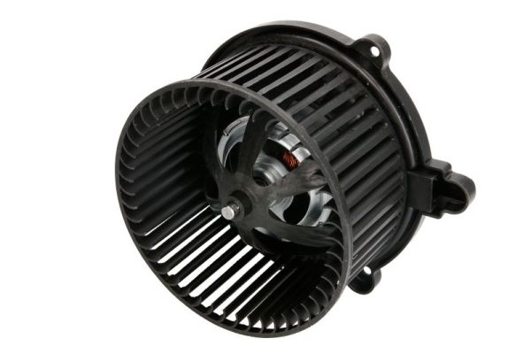 DD0302TT