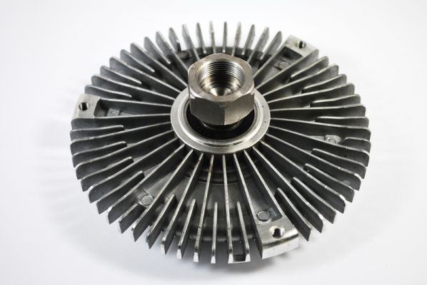 D5B004TT