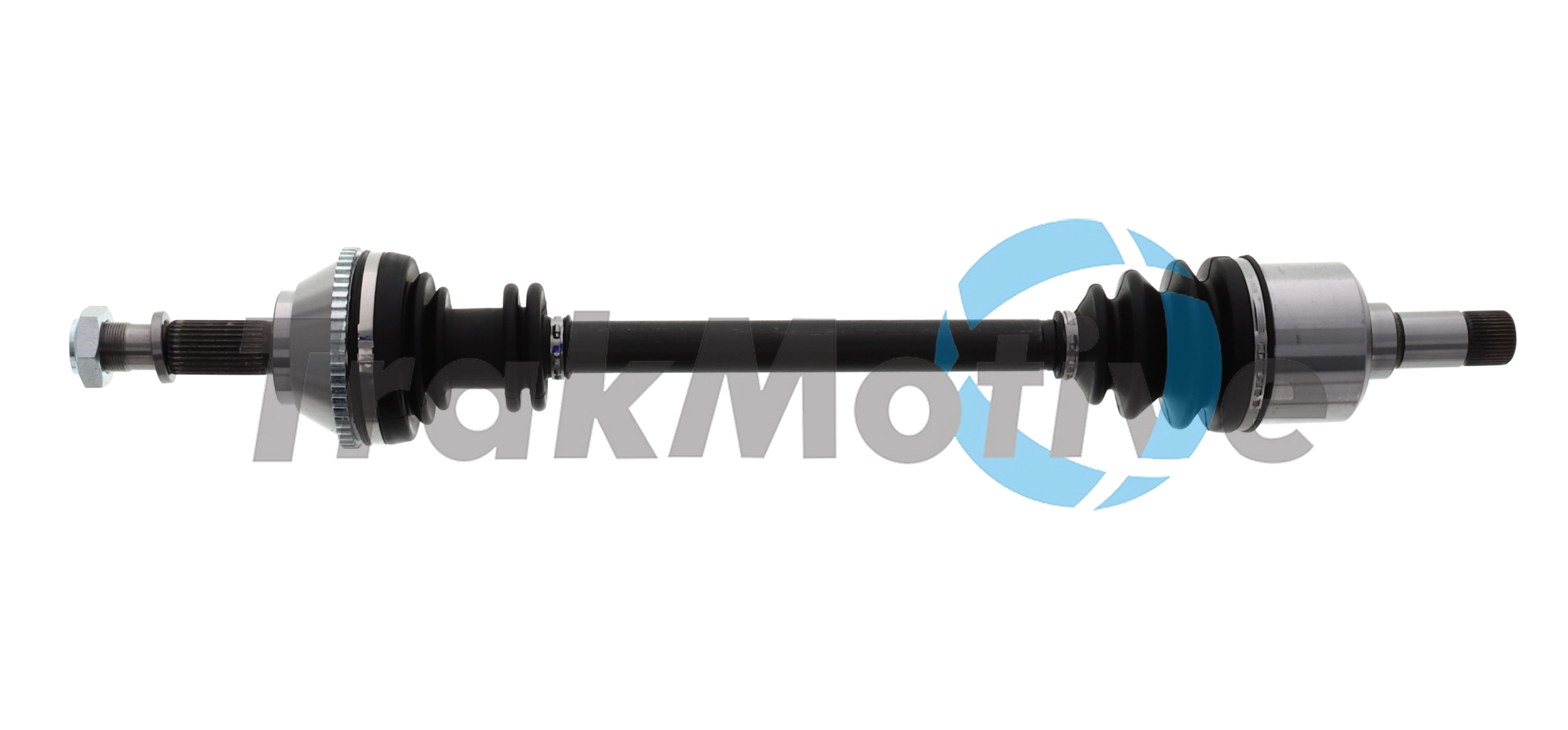 300313