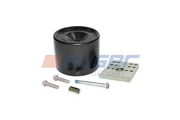 20256