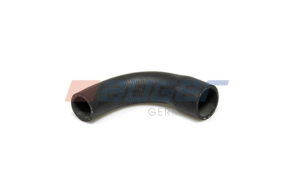 56404