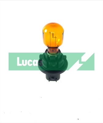 LLB201