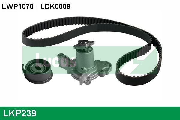 LKP239