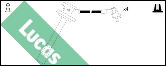 LUC4555