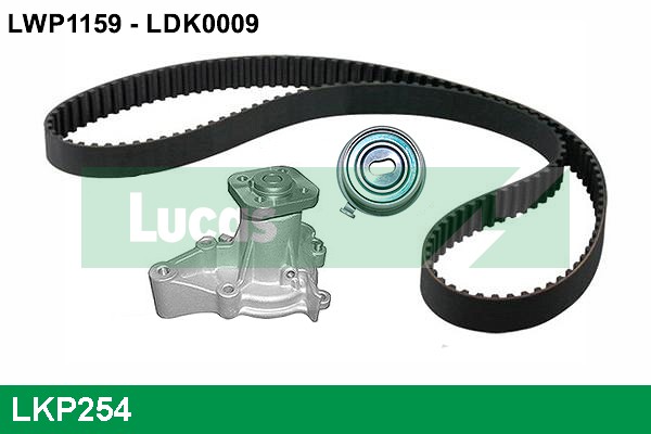 LKP254