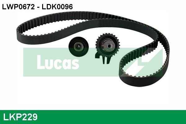 LKP229