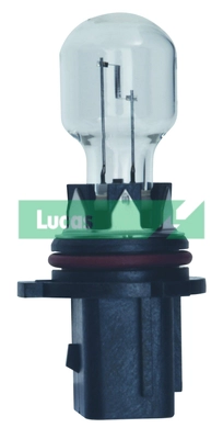 LLB195