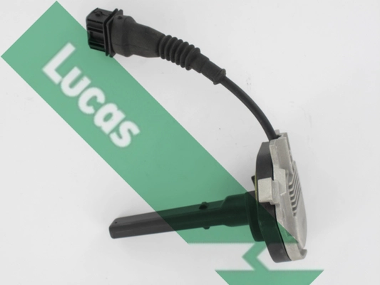 LLS303
