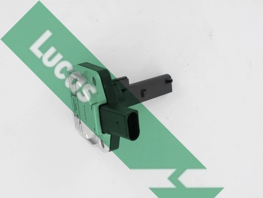 LLS318