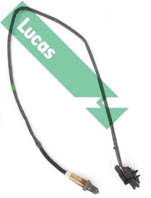LEB916