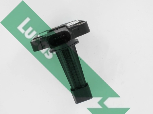 LLS317
