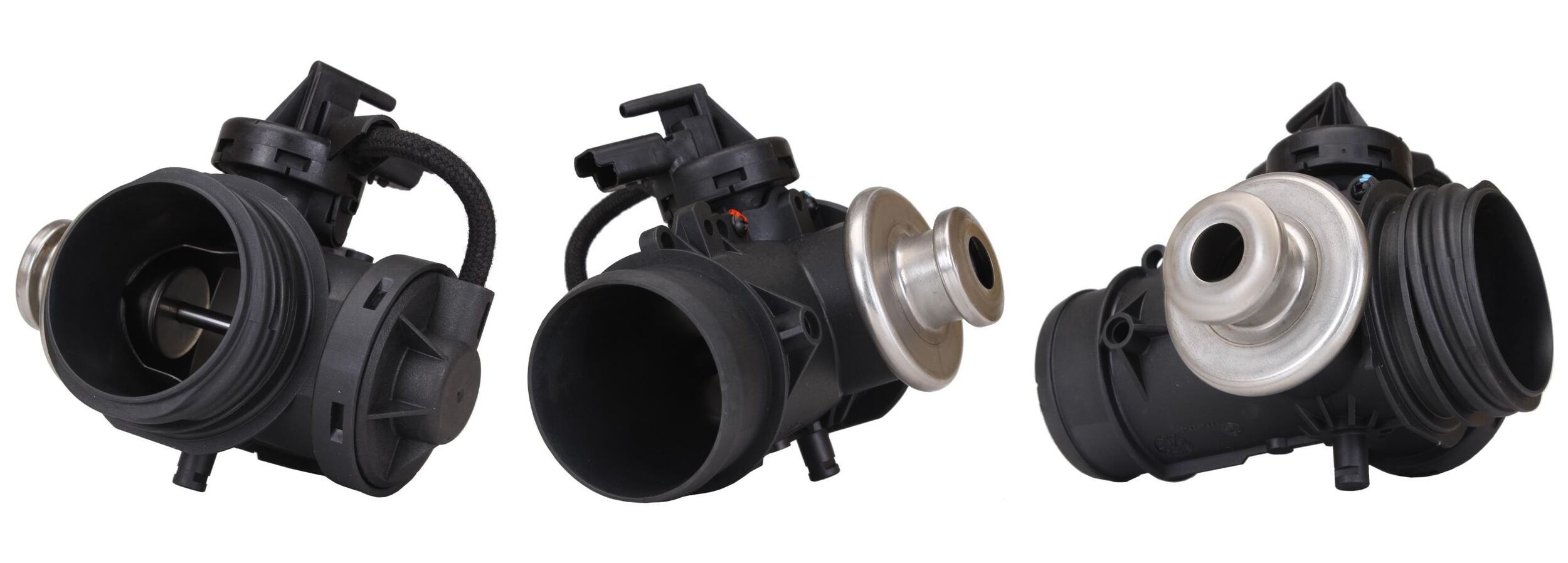 LEV1246