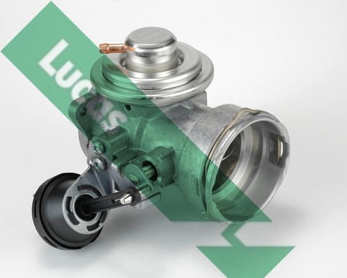 FDR183